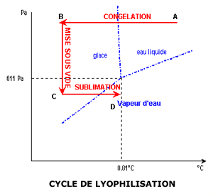 cycle-lyophilisation.gif
